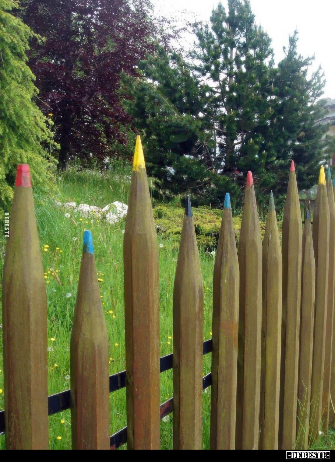  - Lustige Bilder | DEBESTE.de