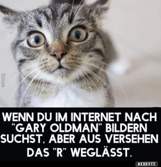 Wenn du im Internet nach "Gary Oldman" Bildern suchst, aber.. - Lustige Bilder | DEBESTE.de