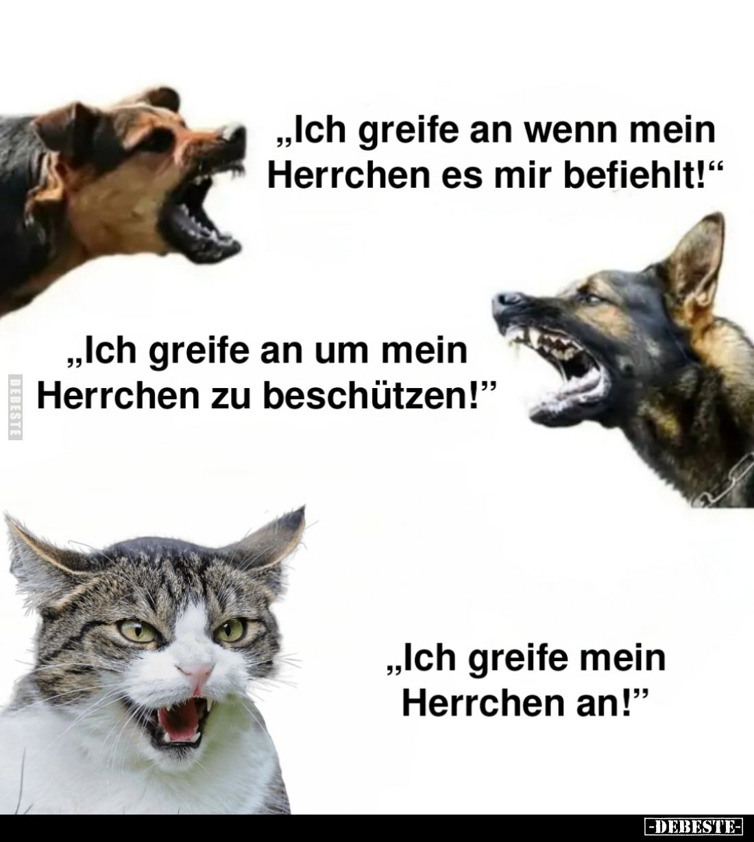 "Ich greife an wenn mein Herrchen es mir befiehlt!"
- "Ich greife an um mein Herrchen zu beschützen!"
-...