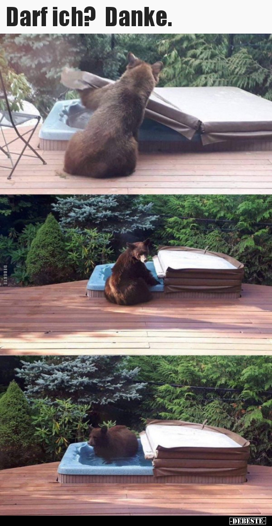 Darf ich? Danke...