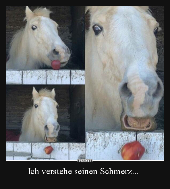 Ich verstehe seinen Schmerz