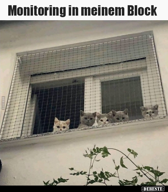 Monitoring in meinem Block..