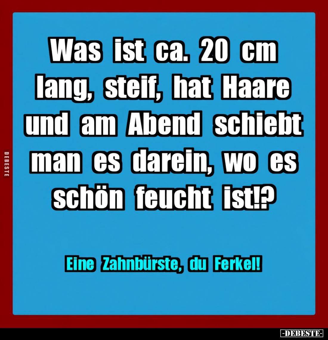 Was ist ca. 20 cm lang, steif, hat Haare und am Abend.. - Lustige Bilder | DEBESTE.de