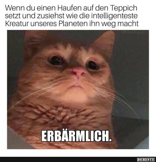 Wenn du einen Haufen auf den Teppich setzt und zusiehst..