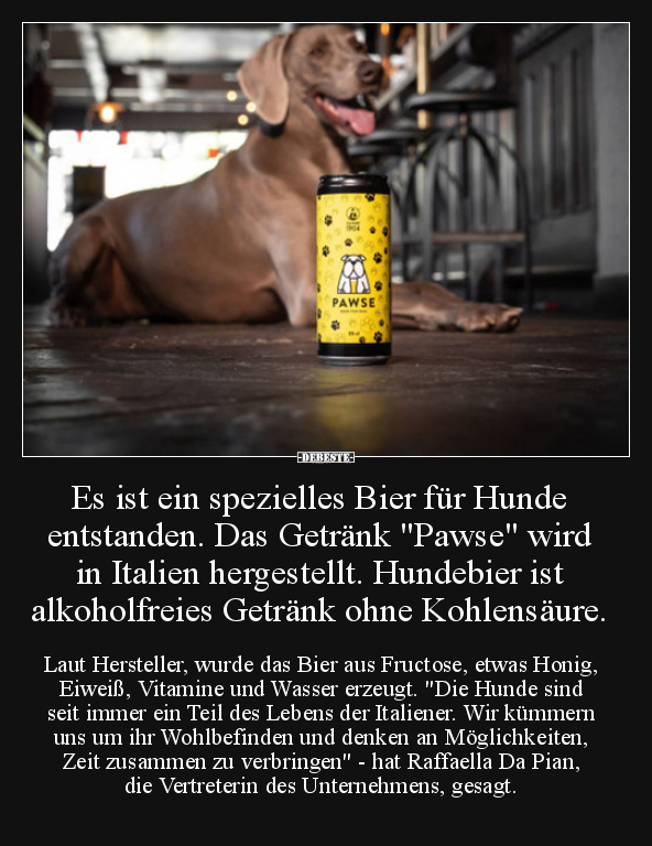 Es ist ein spezielles Bier für Hunde entstanden... - Lustige Bilder | DEBESTE.de
