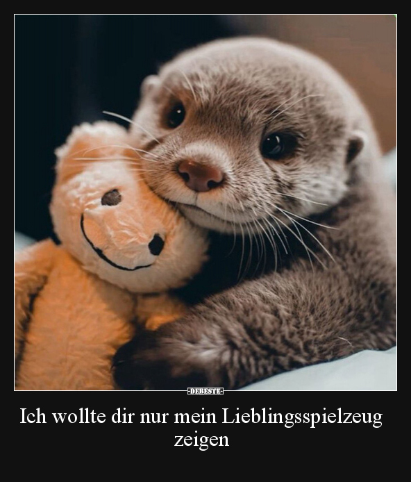 Ich wollte dir nur mein Lieblingsspielzeug zeigen.. - Lustige Bilder | DEBESTE.de