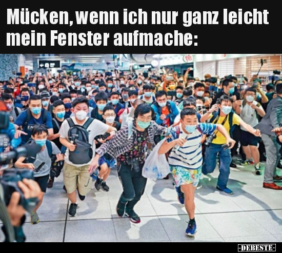 Mücken, wenn ich nur ganz leicht mein Fenster aufmache.. - Lustige Bilder | DEBESTE.de