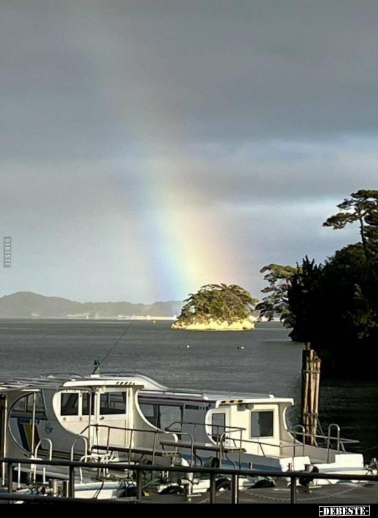  - Lustige Bilder | DEBESTE.de