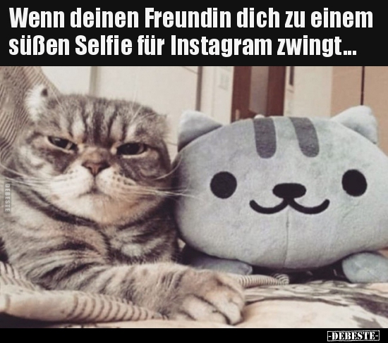 Wenn deinen Freundin dich zu einem süßen Selfie für.. - Lustige Bilder | DEBESTE.de