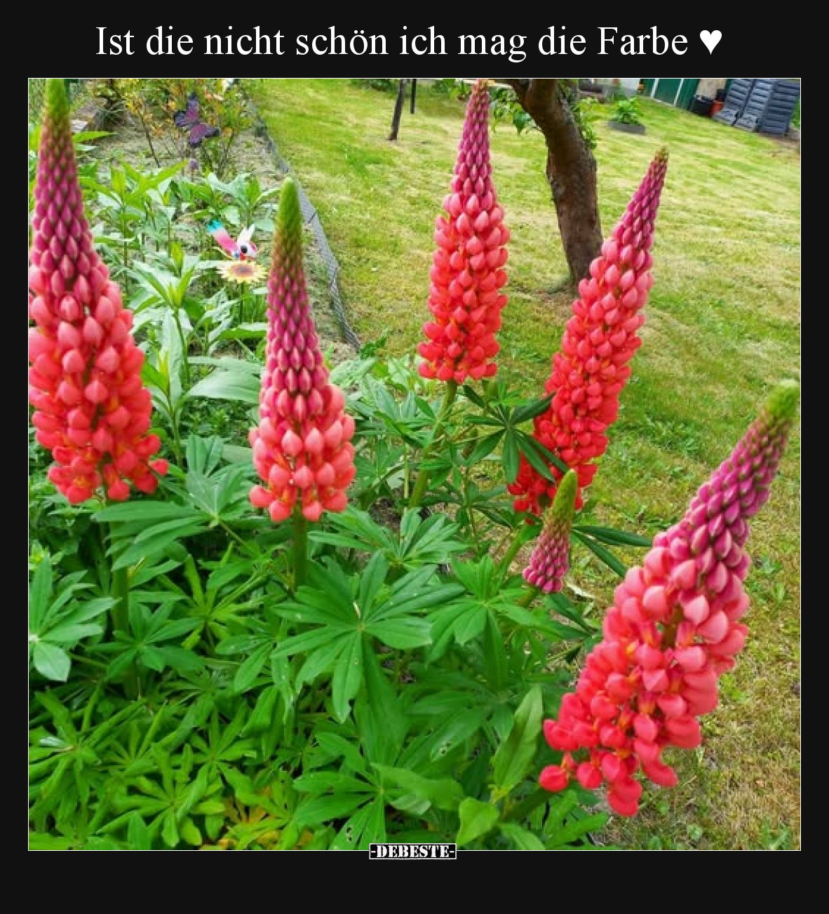 Ist die nicht schön ich mag die Farbe ♥