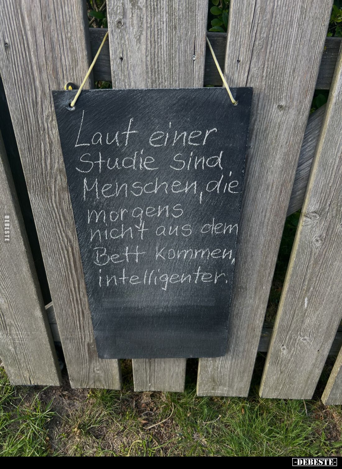 Laut einer Studie Sind Menschen, die morgens nich't aus aus dem Bett kommen, intelligenter.