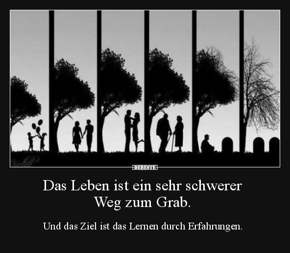 Das Leben ist ein sehr schwerer Weg zum Grab... - Lustige Bilder | DEBESTE.de