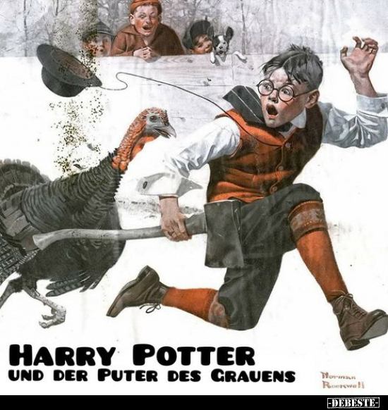 Harry Potter und der Puter des Grauens... - Lustige Bilder | DEBESTE.de