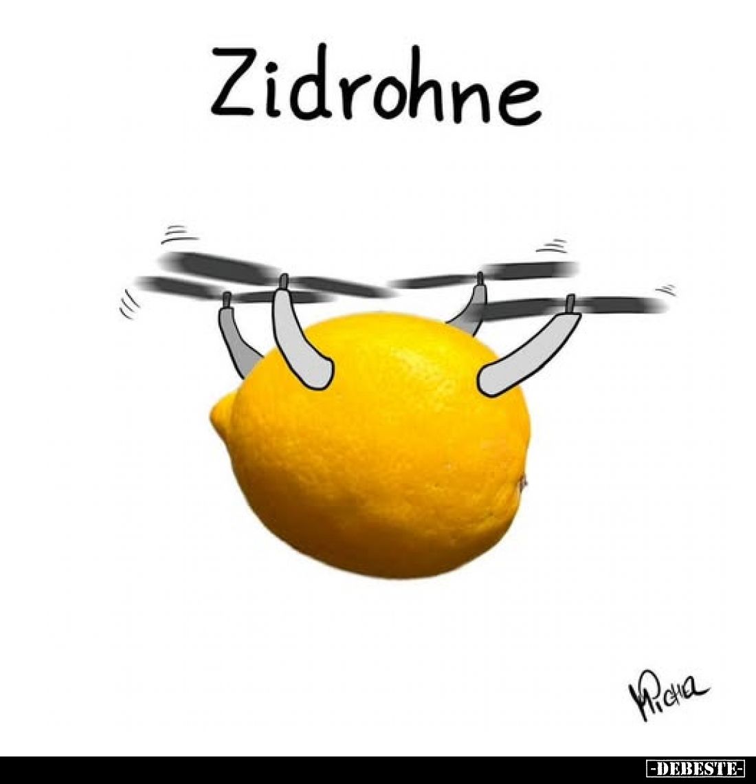 Zidrohne