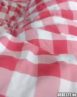 Warum hast du das gemacht?!