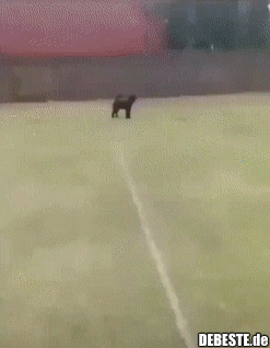 Wenn du verkackst, es aber trotzdem läuft...