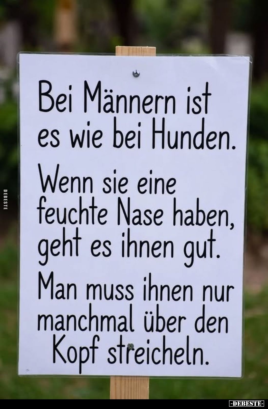 Bei Männern ist es wie bei Hunden.
Wenn sie eine feuchte Nase haben, geht es ihnen gut.
Man muss ihnen nur manchmal über de...