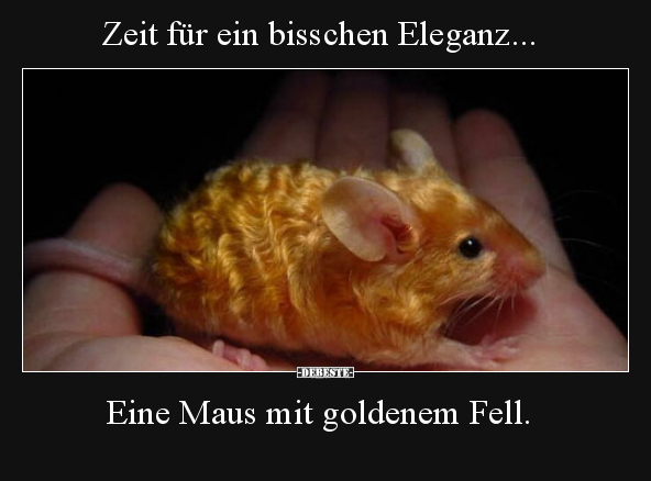 Zeit für ein bisschen Eleganz..
