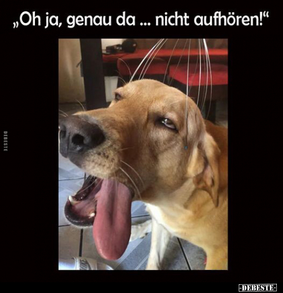 "Oh ja, genau da... nicht aufhören!".. - Lustige Bilder | DEBESTE.de