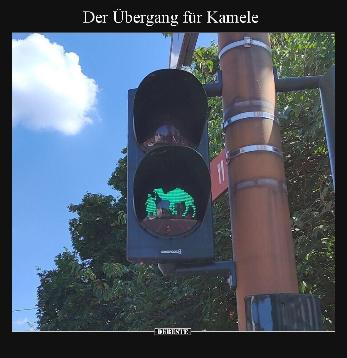 Der Übergang für Kamele