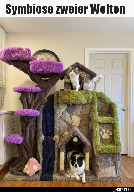 Symbiose zweier Welten..