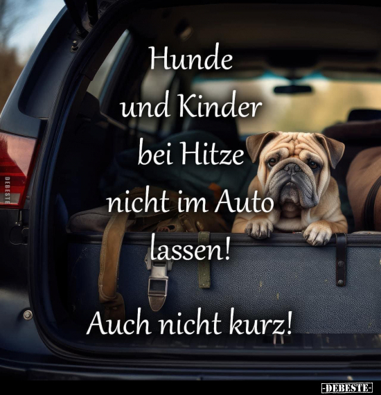 Hunde und Kinder bei Hitze nicht im Auto lassen!.. - Lustige Bilder | DEBESTE.de