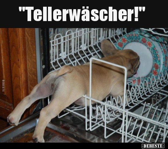 "Tellerwäscher!".. - Lustige Bilder | DEBESTE.de