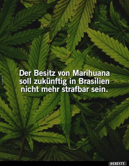 Der Besitz von Marihuana soll zukünftig in Brasilien nicht mehr strafbar sein... - Lustige Bilder | DEBESTE.de