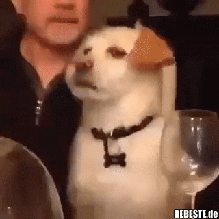 Was erzählt er da? Ich kann es nicht mehr hören...