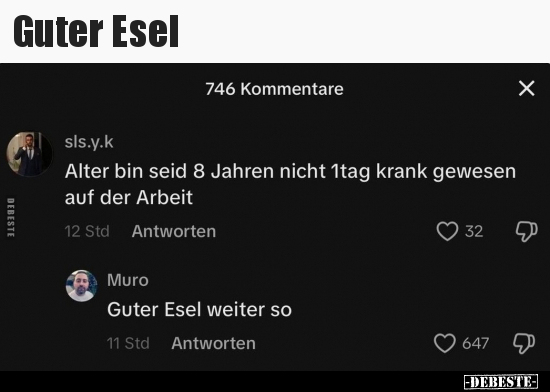 Guter Esel.. - Lustige Bilder | DEBESTE.de