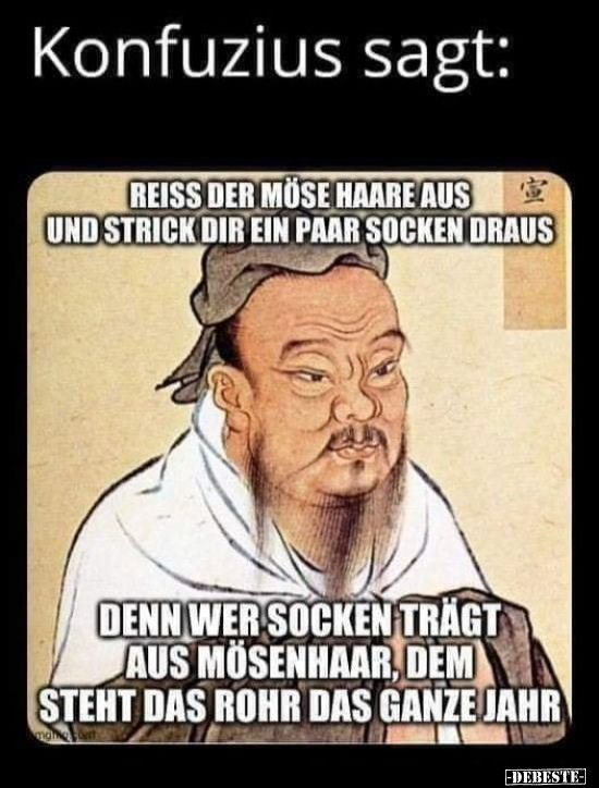 Konfuzius sagt: Reiss der Möse Haare aus und strick dir ein..