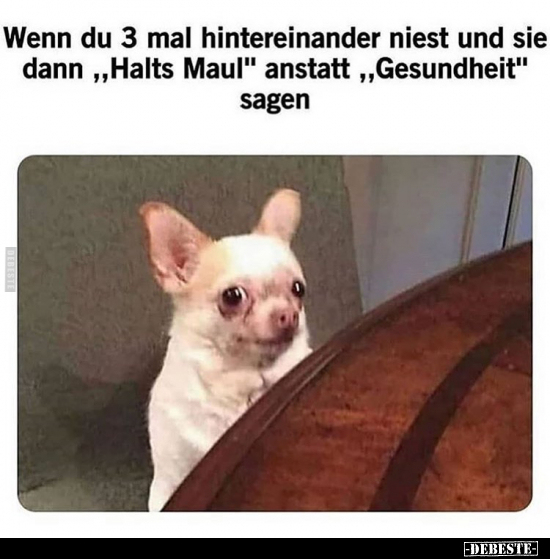 Wenn du 3 mal hintereinander niest und sie dann "Halts.."