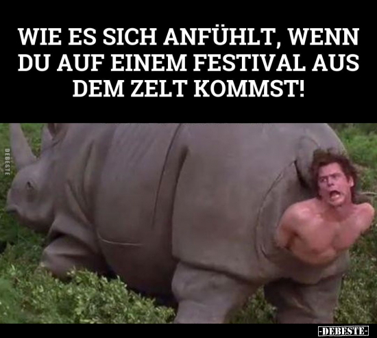 Wie es sich anfühlt, wenn du auf einem Festival.. - Lustige Bilder | DEBESTE.de