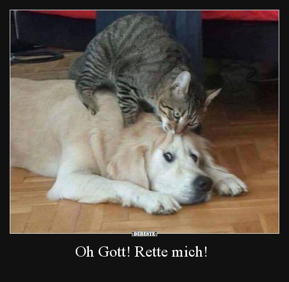 Oh Gott! Rette mich!..