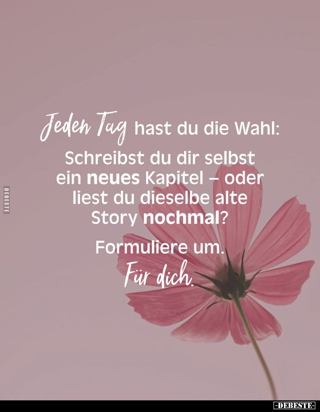 Jeden Tag hast du die Wahl:
Schreibst du dir selbst ein neues Kapitel - oder liest du dieselbe alte Story nochmal?
Formulie...