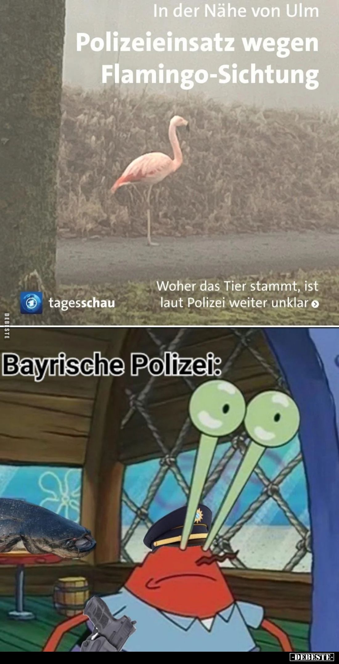  - Lustige Bilder | DEBESTE.de