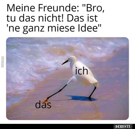 Meine Freunde: "Bro, tu das nicht! Das ist 'ne ganz miese.." - Lustige Bilder | DEBESTE.de