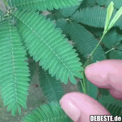 Die Natur ist faszinierend..