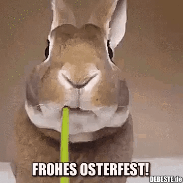 Frohes Osterfest!
