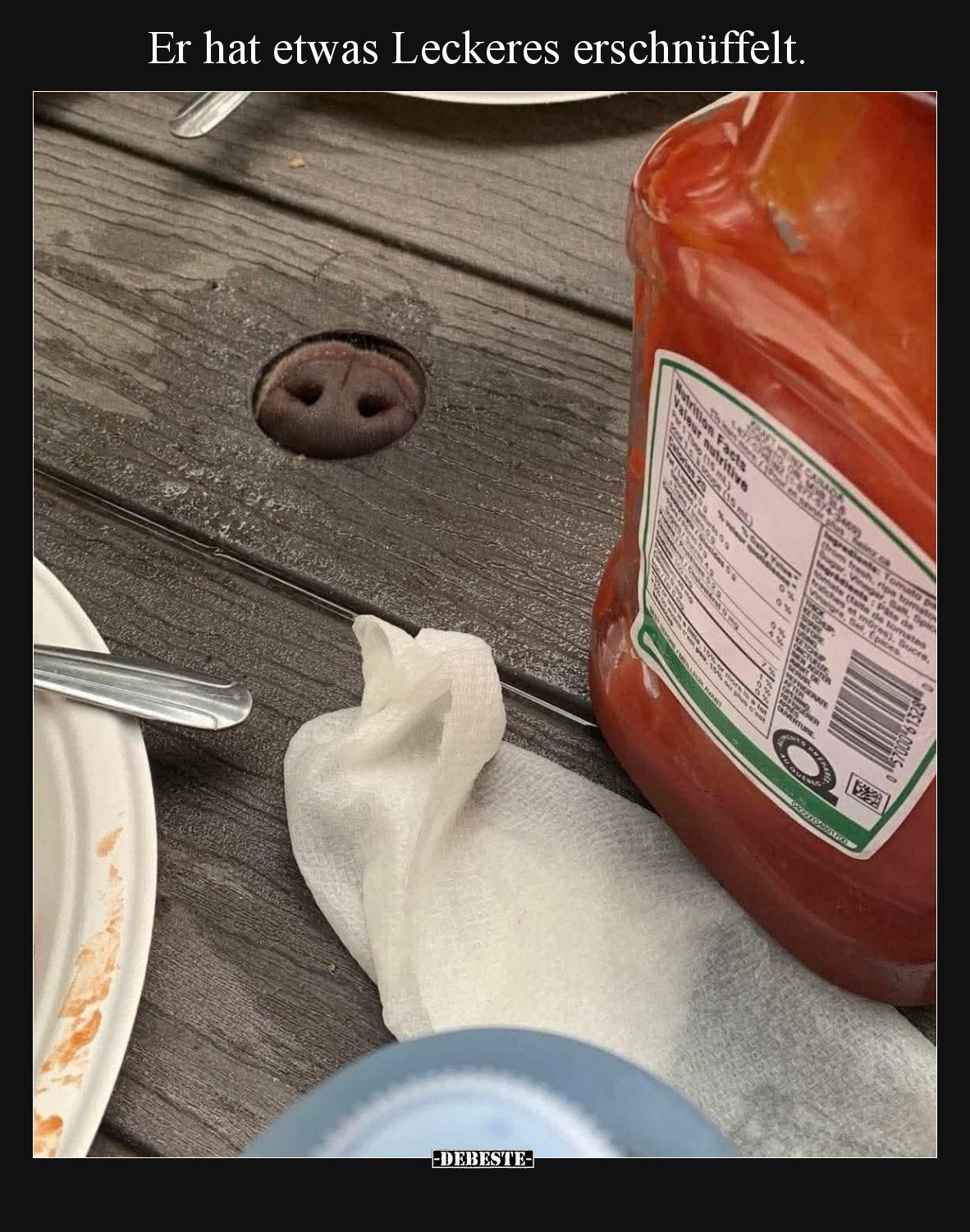 Er hat etwas Leckeres erschnüffelt.