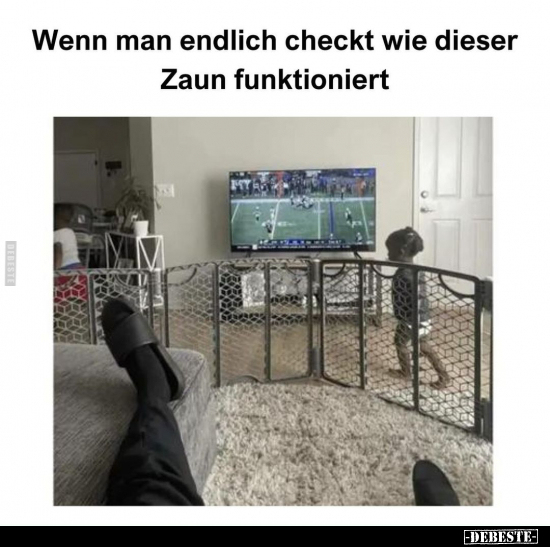 Wenn man endlich checkt wie dieser Zaun funktioniert... - Lustige Bilder | DEBESTE.de