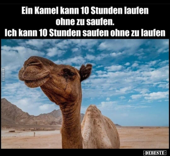 Ein Kamel kann 10 Stunden laufen ohne zu saufen... - Lustige Bilder | DEBESTE.de