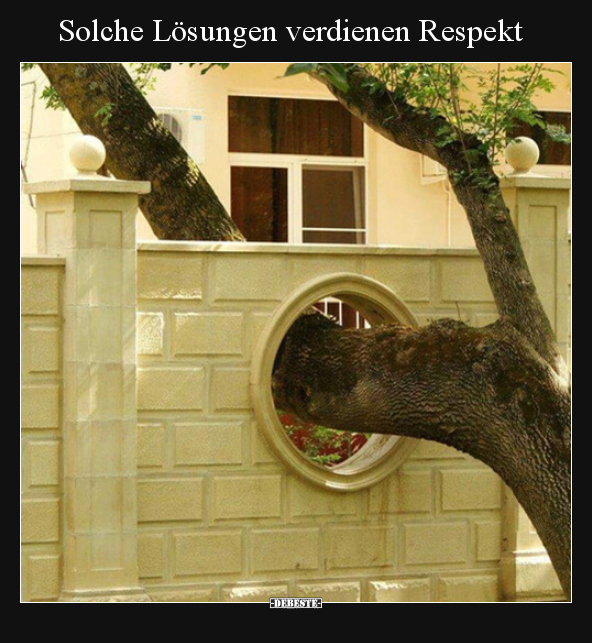 Solche Lösungen verdienen Respekt..