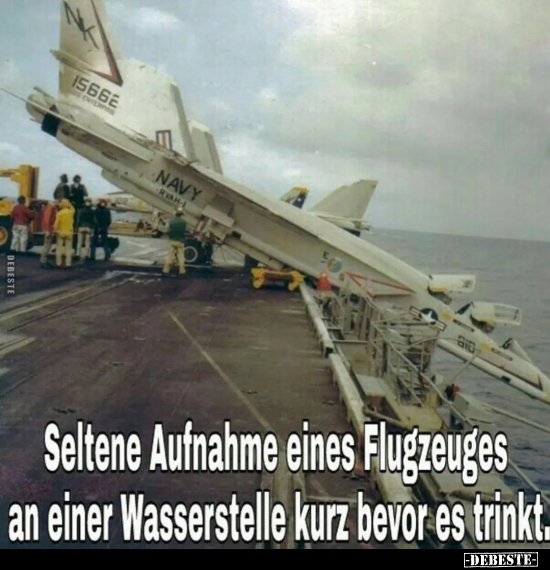 Seltene Aufnahme eines Flugzeuges an einer Wasserstelle.. - Lustige Bilder | DEBESTE.de