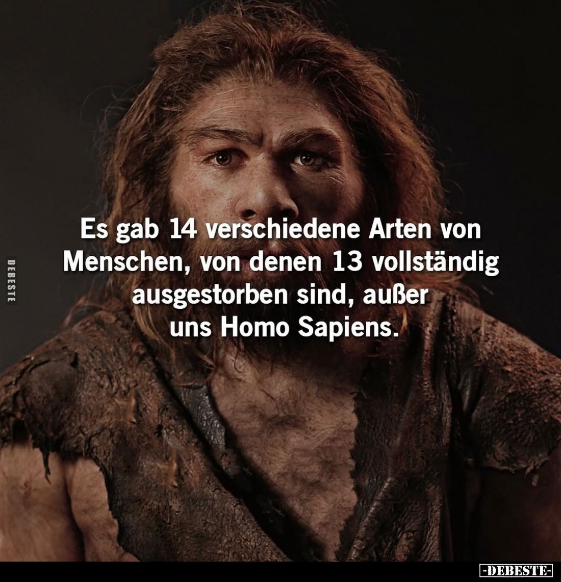 Es gab 14 verschiedene Arten von Menschen, von denen 13 vollständig ausgestorben sind, außer uns Homo Sapiens.