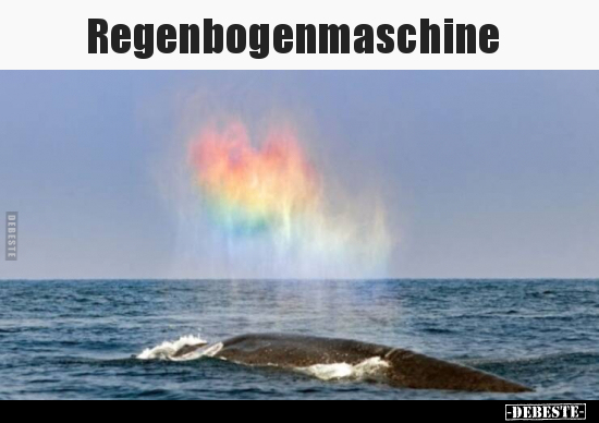 Regenbogenmaschine.. - Lustige Bilder | DEBESTE.de