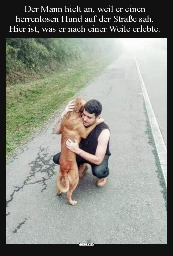 Der Mann hielt an, weil er einen herrenlosen Hund auf der.. - Lustige Bilder | DEBESTE.de