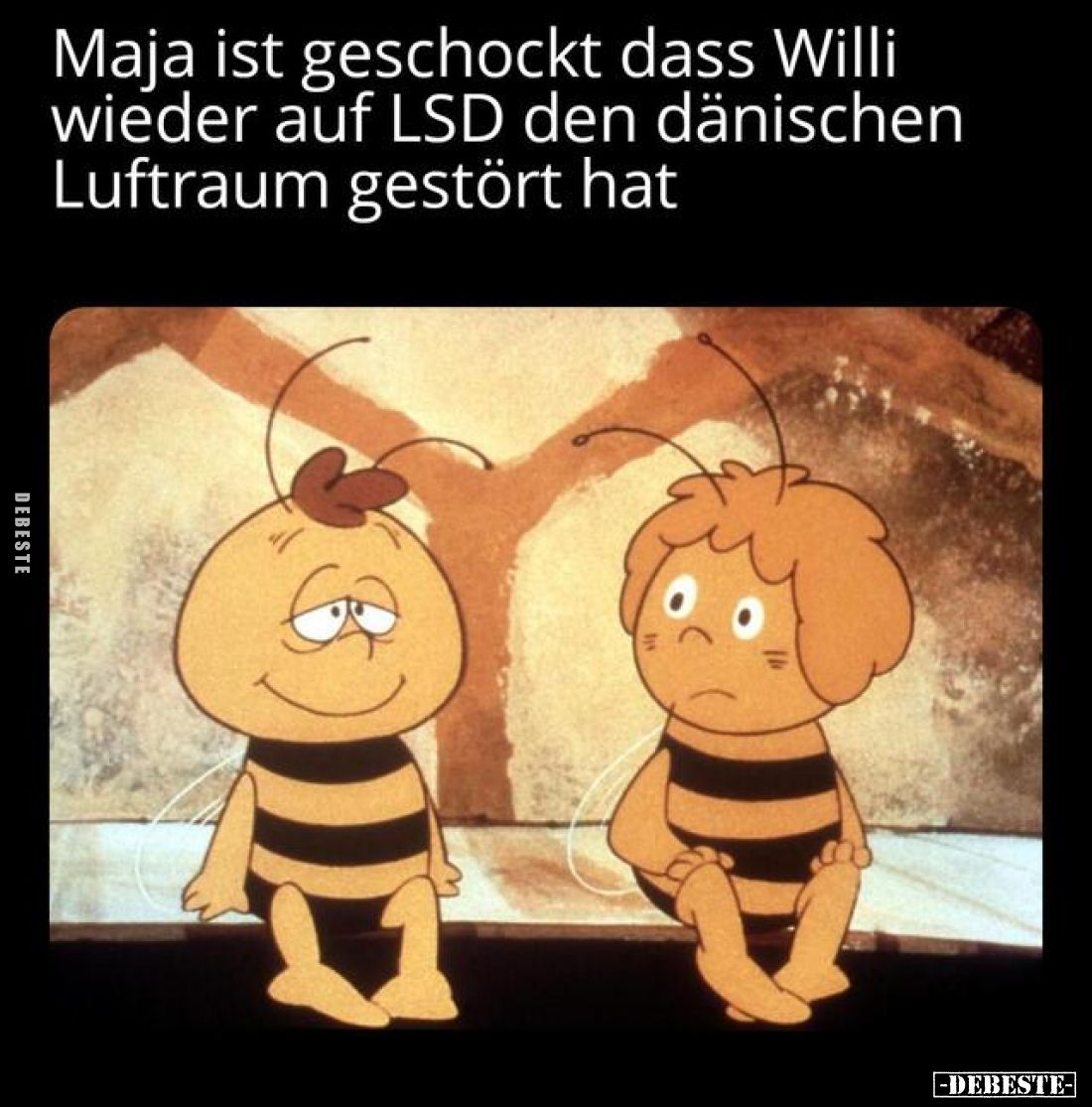 Maja ist geschockt dass Willi wieder auf LSD den dänischen Luftraum gestört hat