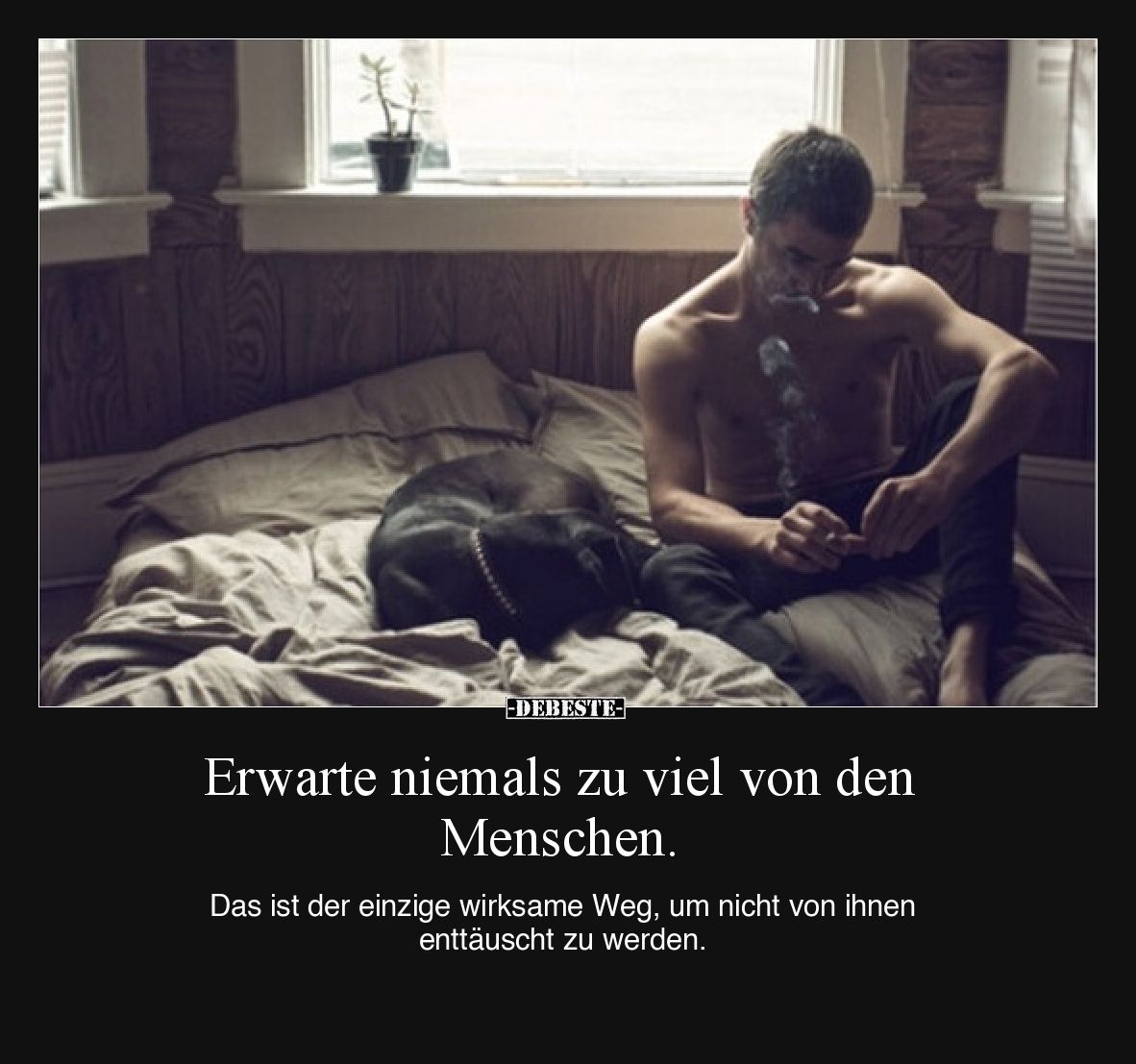 Erwarte niemals zu viel von den Menschen... - Lustige Bilder | DEBESTE.de