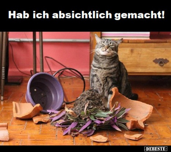 Hab ich absichtlich gemacht!